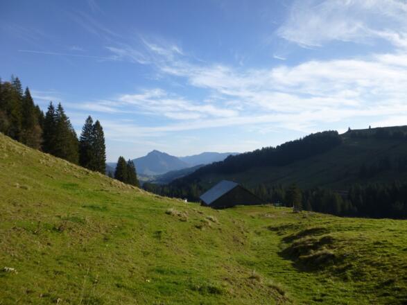 Ausblick über der Rappengschwendalpe Richtung Grünten