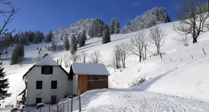 Gradnalm 1240 m mit Pfannstein