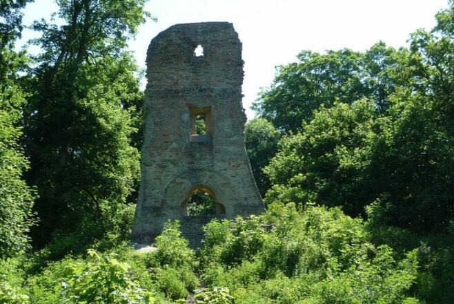 Ruine Speckfeld