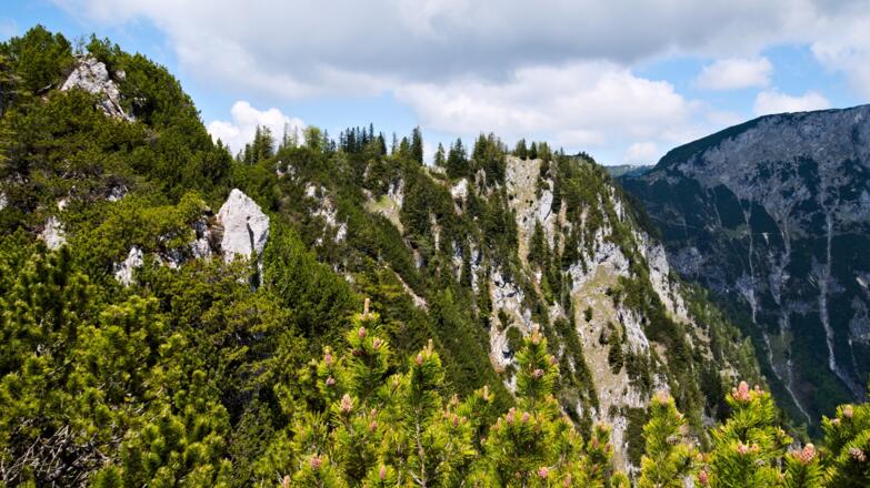 Fs geht spannend weiter