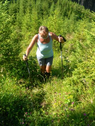 steile Waldschneise