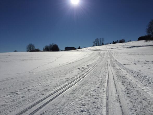 Auffahrt nach Großhartpenning