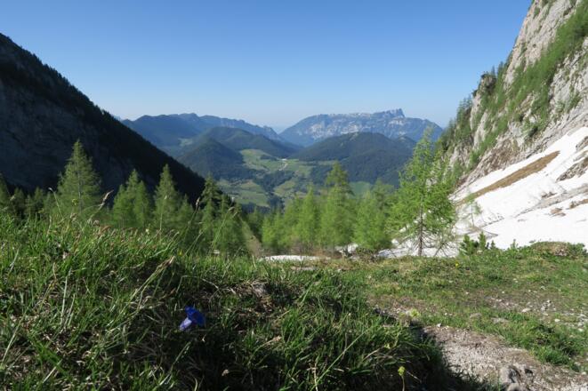 Blick von der Hochalm in Richtung Norden und Untersberg