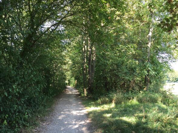 teilweise enger Amperradweg bei Olching