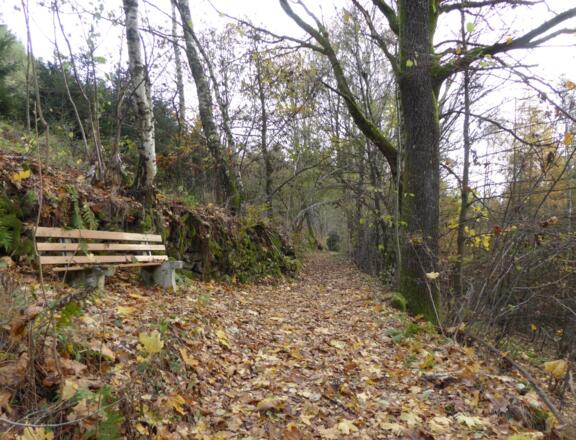 Biergweg nach Elisabethszell