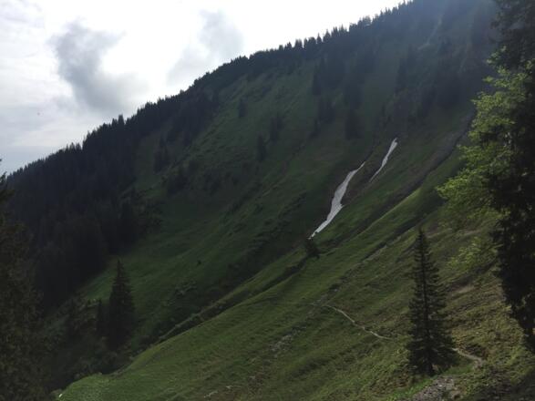 Über Almgelände führt der Weg talwärts
