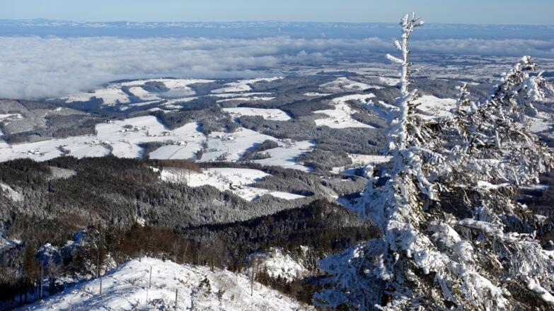 Nordblick ins Alpenvorland