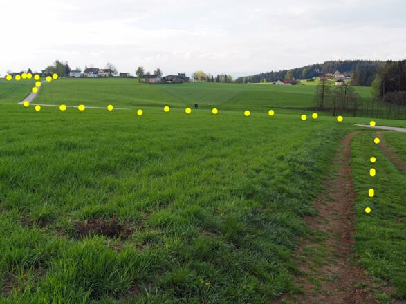 Abstieg zur Straße nach Pollhammeredt