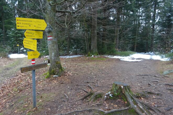 Zurück den Wegweisern GH. Grünwald folgen