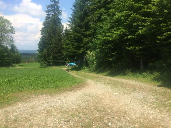 Richtung Schweineburg