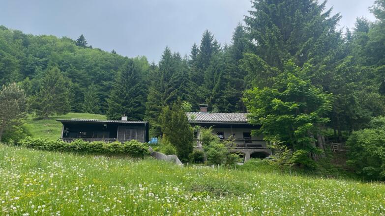 Bahnhof Ternberg - Herndleck Trail