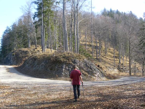 Forststraßenquerung