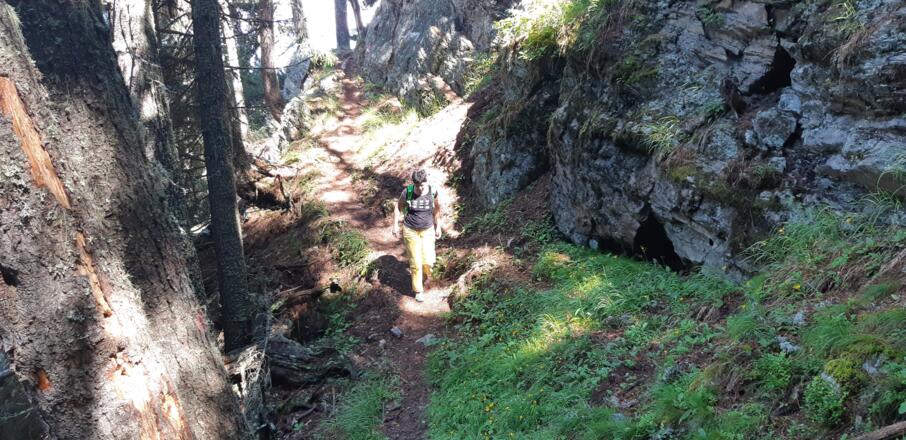 ... gut beschattet führt ...