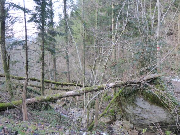 wildes romantisches Tal