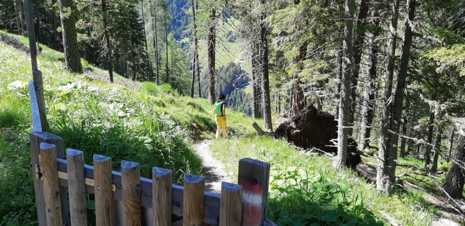 ... hinunter und zurück nach ...