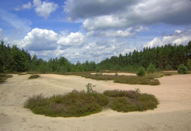 Bergbaulandschaft bei Freihung
