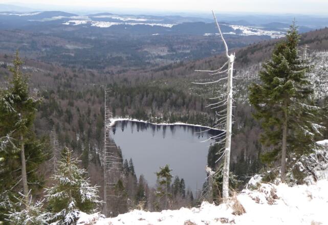 Blick hinab auf den Rachelsee