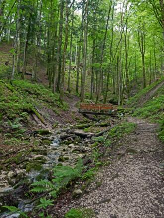 Auf dem Gerner Höhenweg