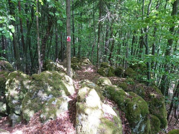 Am höchsten Punkt der Tour - Großer Berg (539 m)