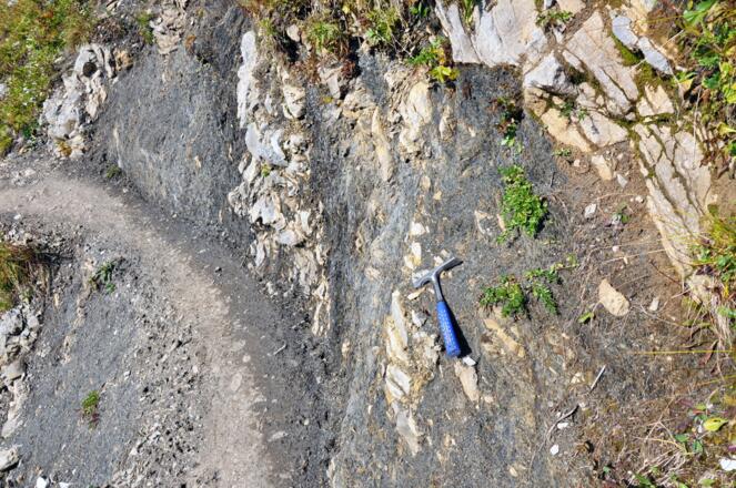 Kössen-Formation: Mergelstein, Tonstein, Kalkstein