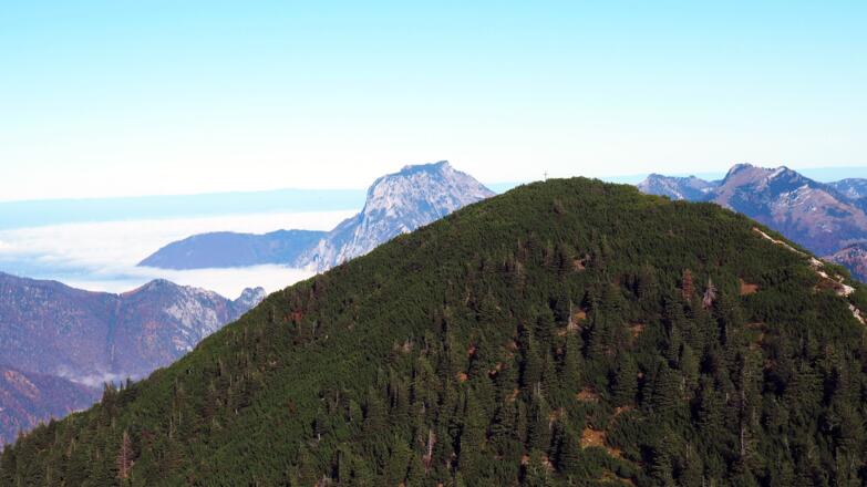 Petergupf mit Kreuz (1646m) vor uns