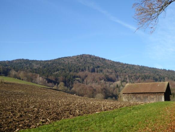 Blick auf den Hausstein