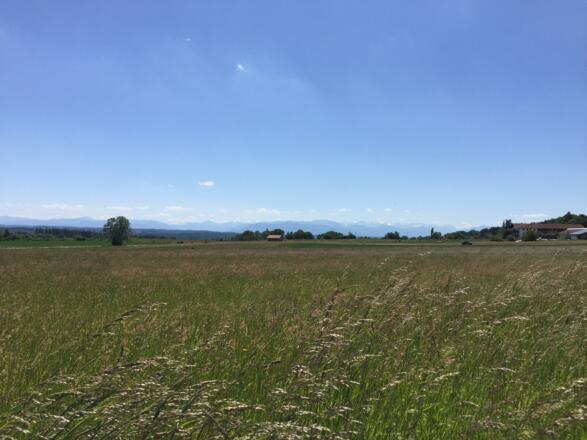 Alpenblick Irschenhausen - Bachhausen