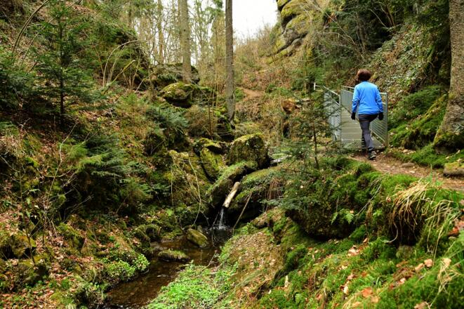 In der Silberbachschlucht