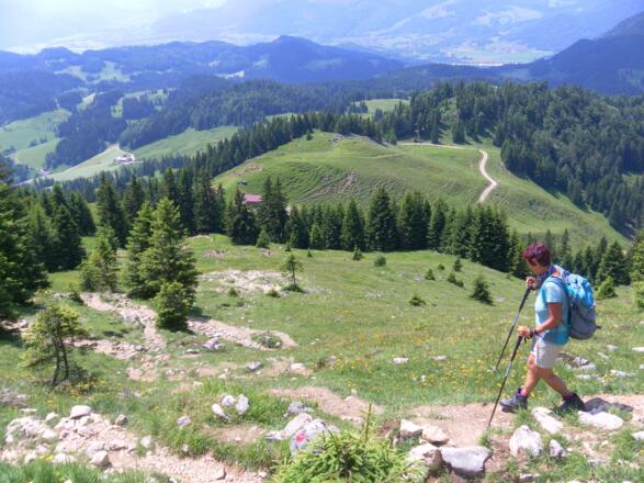 südexponierte Almwiesen zum Spitzsteinhaus
