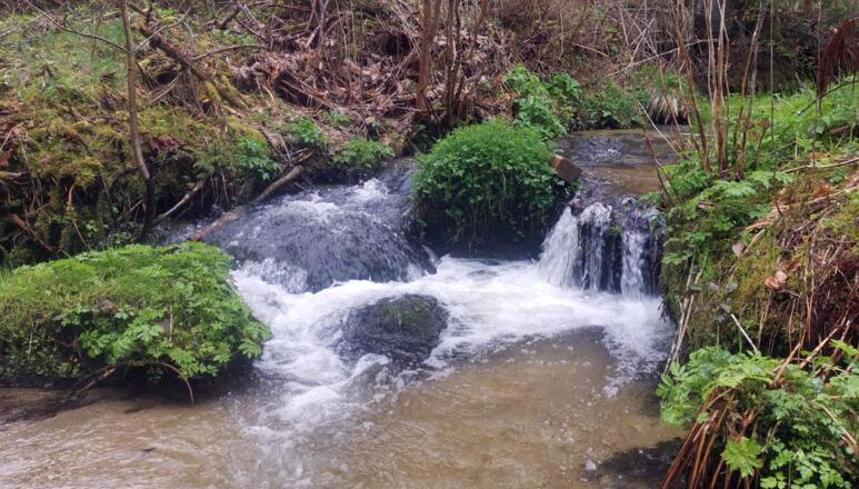 wildromantische Tal des Höllenbachs - Wandern in Kaltenberg