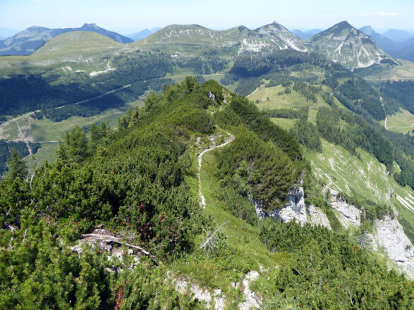 Der Blick vom Hochwieskopf auf Gennerhorn, Gruberhorn, Dürlstein, First und Frunstberg (von rechts).