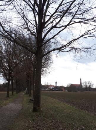 Blick auf Straubing