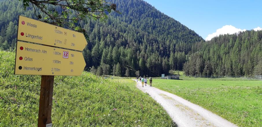 Noch kurz auf der Straße durch den Ortsteil Lehen, dann rein in die Natur. Die Beschilderung ...