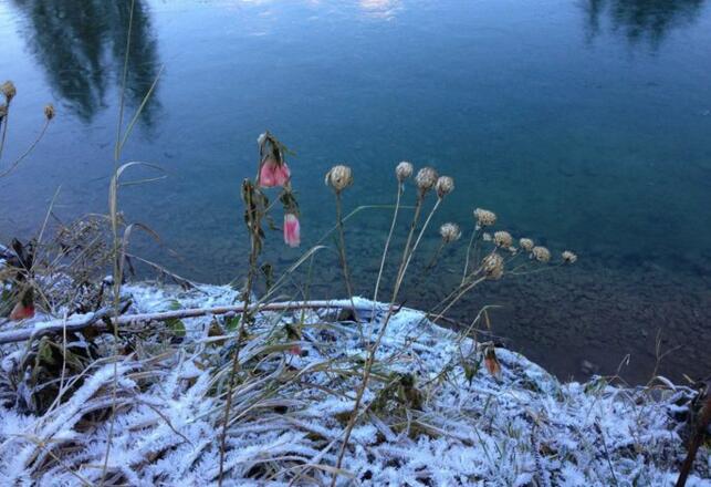 zzz_nicht mehr verwenden!!! Gästehaus Tauscher am Haldensee