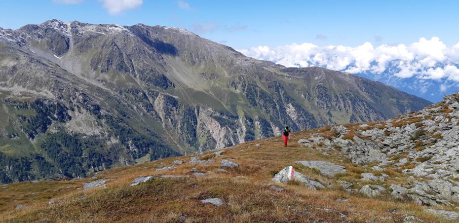 Alpine Rasenlandschaft. Hinten der Glungezer und der Gratverlauf Richtung Rosenjoch. Rechts, tiefer gelegen, der Schartenkogel.