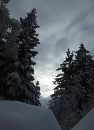 Winterwonderland