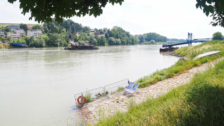 An der schönen grünblauen Donau in Ottensheim