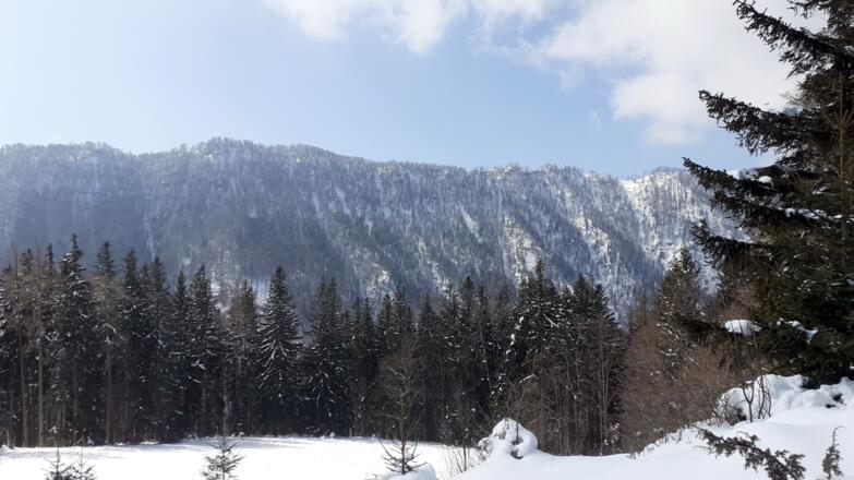 Kammgipfel 980m, Blick zum Grat Hollerberg 1279m
