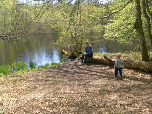 Huckinger See