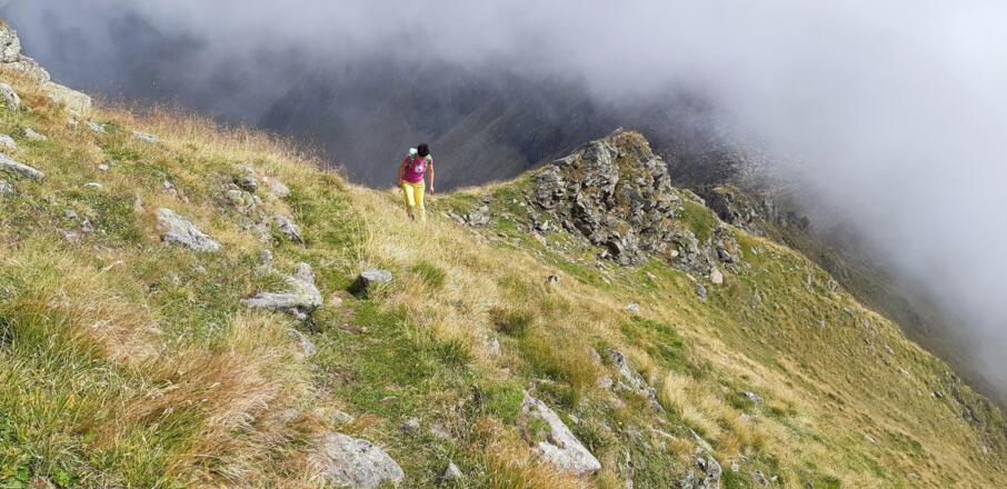 Vom Sendersjöchl nun steiler und ...