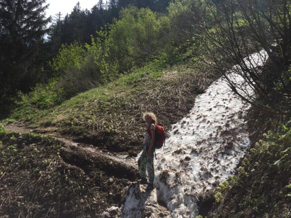 Querung in die steile Nordflanke des Imbergerhorns