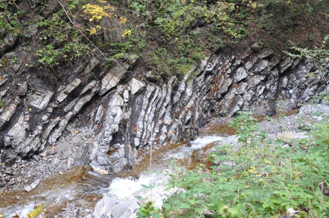 Flyschablagerungen der Tristel-Formation