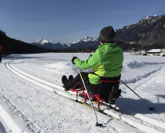 Dickelschwaigrunde Gaswang