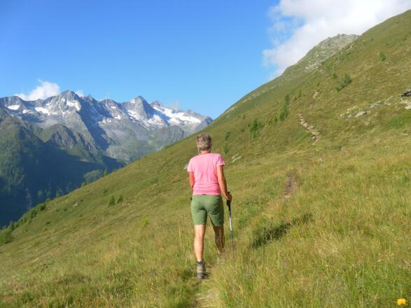 Eisriesen um die Franz Senn Hütte