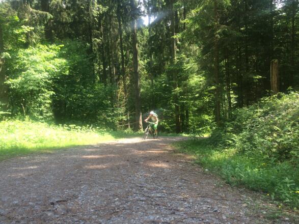 kurz vor der  Schweineburg