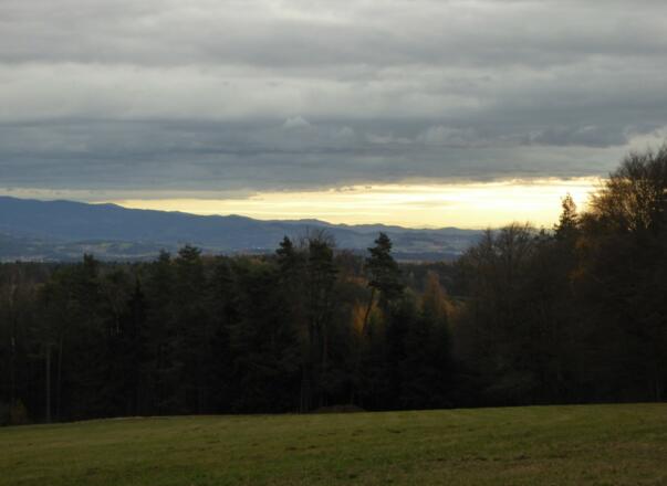 Blick in den Vorderen Bayerischen Wald