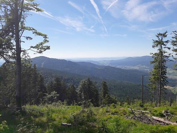 Riedelstein und Hoher Bogen mit Lamer Winkel vom Ödriegel