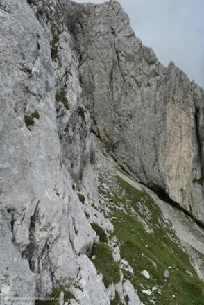 Ich bin wieder beim Grasband angekommen