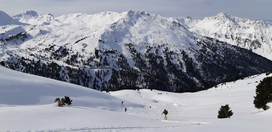 "In der Lacken" auf ca. 2300 m. Hinten die Mölser Sonnenspitze, in der Mitte der breite Mölserberg, rechts hinten der Malgrübler.