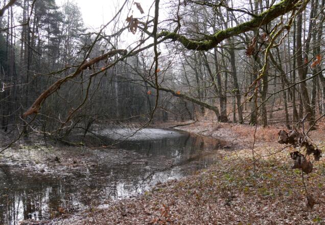 Kleiner Egelsee
